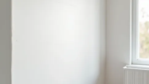 płyta gipsowa 260x120