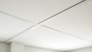płyty kartonowo gipsowe na sufit