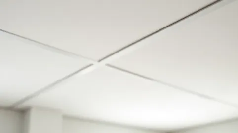 płyty kartonowo gipsowe na sufit